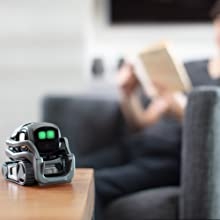companion-robot, smart-robot, robot-assistant, voice-activated, smart-home, intelligent, alexa